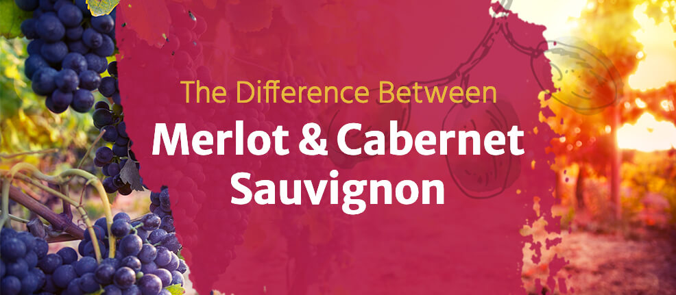 Cabernet Sauvignon vs Merlot: Exploring Red Wine Varietals