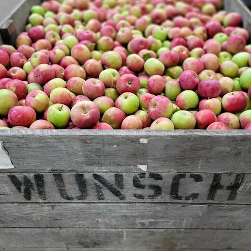 Apples in a Bushel: Exploring Agricultural Measurements