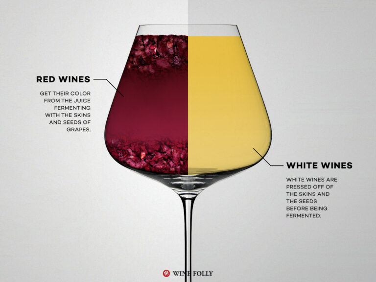 White vs Red Wine: Contrasting Characteristics and Flavor Profiles